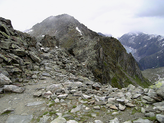 �g�䍂�̗Ő��h;�ƃG�b�M�X�z�����R��2927��