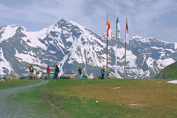 �O���[�Z�X�E���B�[�X�o�b�n�z����3564���i���Ǝv���j�B������30���x�e